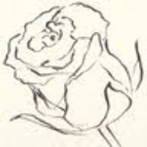 Meet your Posher, Rose